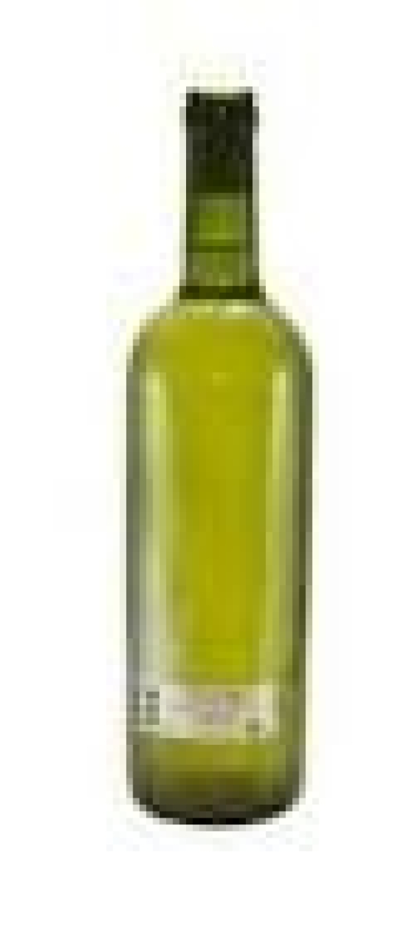 VINO TURBIO GALLEGO 6und